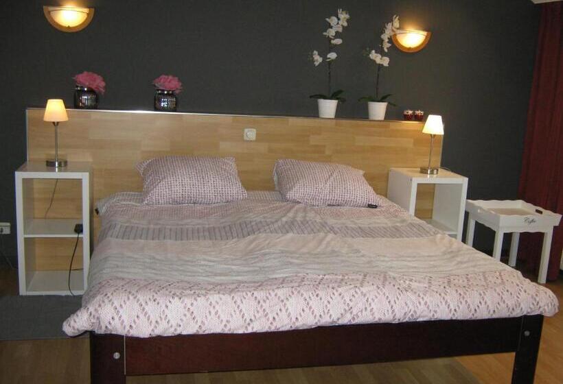 חדר דחוקס עם מיטת קינג, B&b De Tobbedanser Harlingen