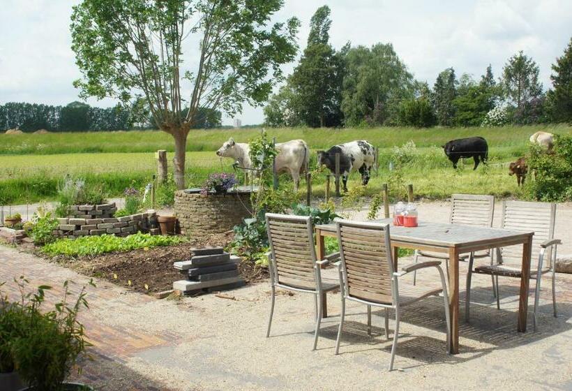 Pokój Standard, Bed And Breakfast De Bosakker