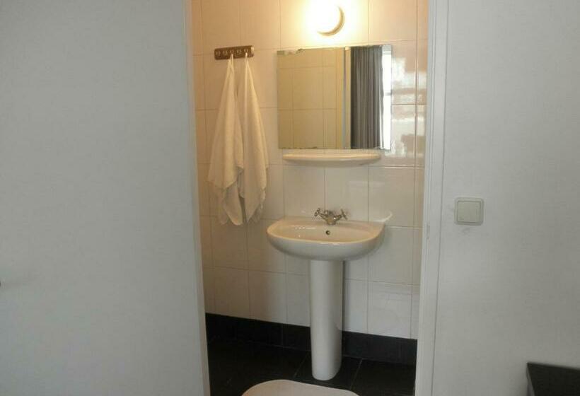 Номер Стандарт, Orion