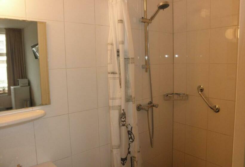 Номер Стандарт, Orion