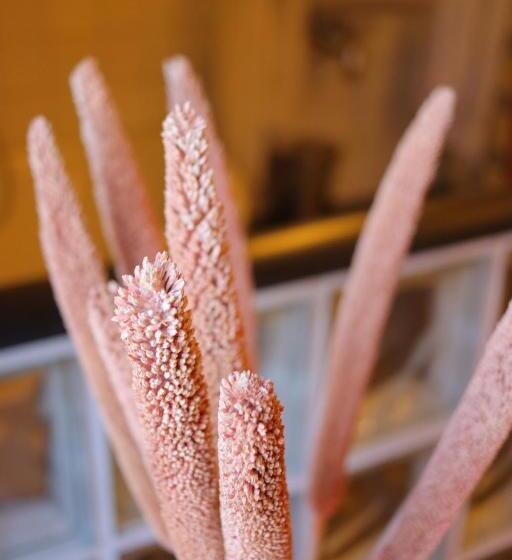 Quarto Estandar, Buitengoed De Uylenburg