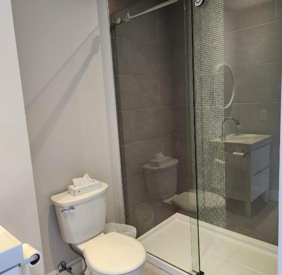 جناح, Les Suites Kaishi