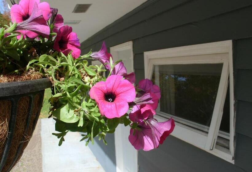 غرفة قياسية مطلّة علي النهر, Cornerstone Motel