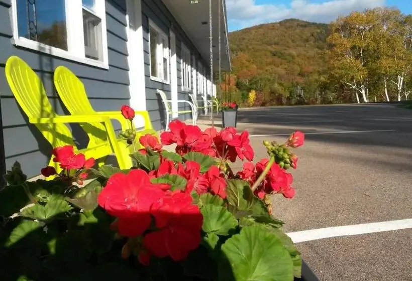 Standard-huone Vuoristonäkymä, Cornerstone Motel
