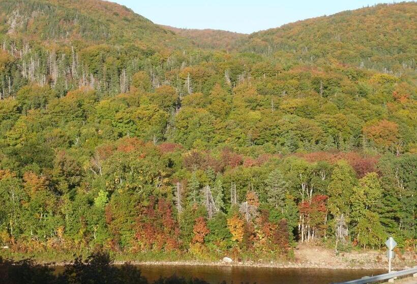 غرفة قياسية مطلة على الجبل, Cornerstone Motel