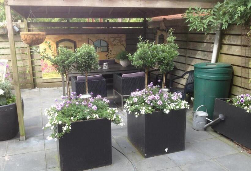 스탠다드 싱글 룸, Lemmer