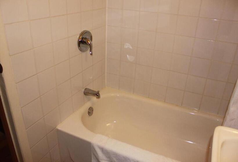 스탠다드 룸 더블 침대 2개, Motel Boisé