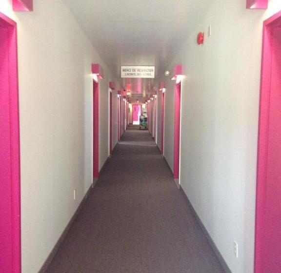 기본룸, Motel Econonuit