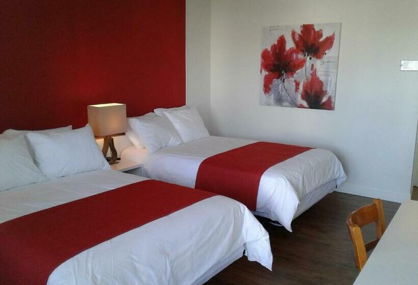 スタンダードシティビュールーム, Auberge Le Parasol