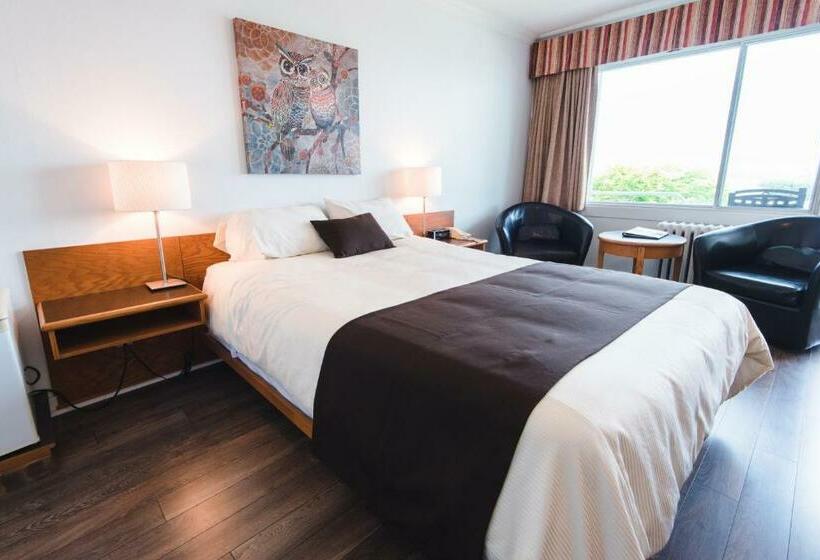 スタンダードルーム, Auberge Le Parasol