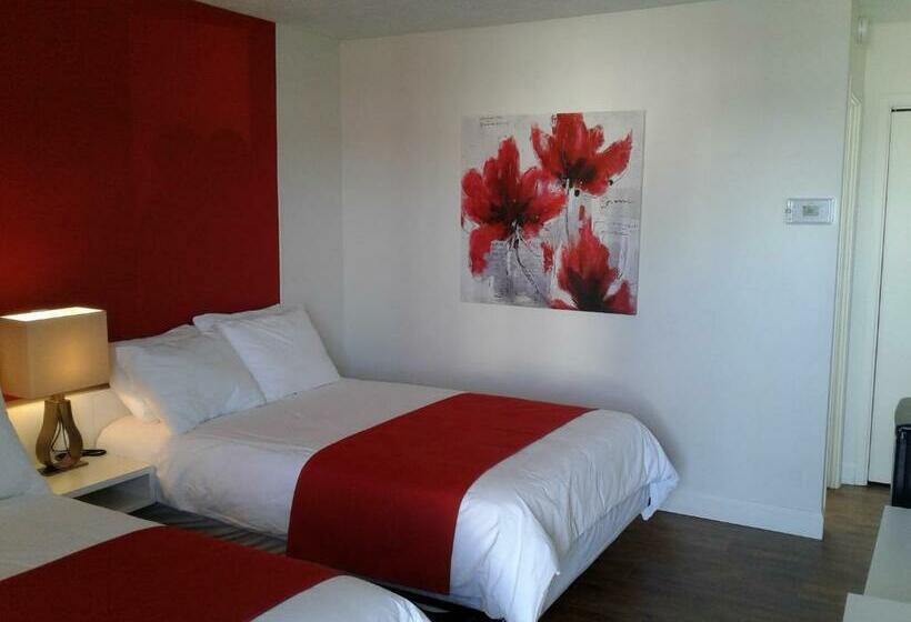 スタンダードシティビュールーム, Auberge Le Parasol