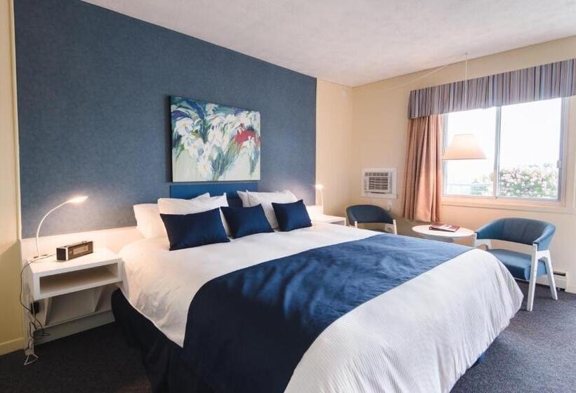 キングサイズベッドのスタンダードルーム, Auberge Le Parasol