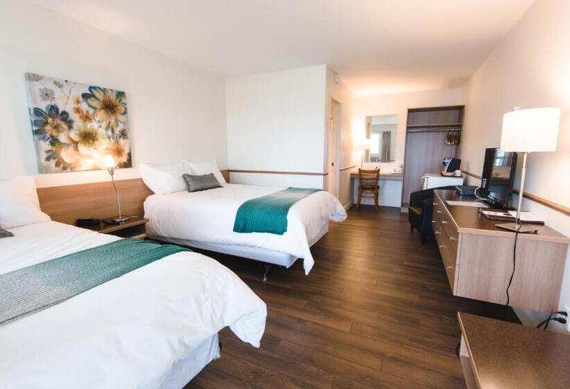 コンフォートルーム, Auberge Le Parasol