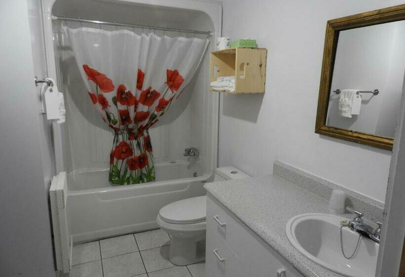 غرفه قياسيه سريرين مزدوجين, Hôtel Sous La Croix 152725