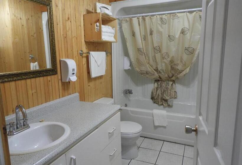 غرفه قياسيه سريرين مزدوجين, Hôtel Sous La Croix 152725