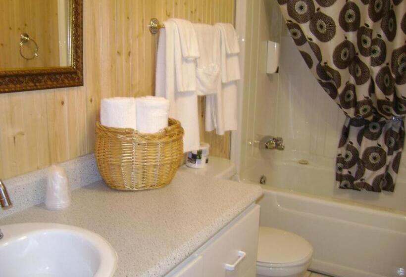 غرفه قياسيه سريرين مزدوجين, Hôtel Sous La Croix 152725