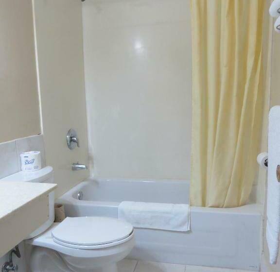 غرفه قياسيه سريرين مزدوجين, Milestone Motel