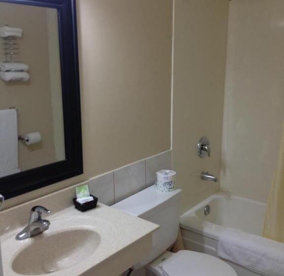 غرفه قياسيه سريرين مزدوجين, Milestone Motel