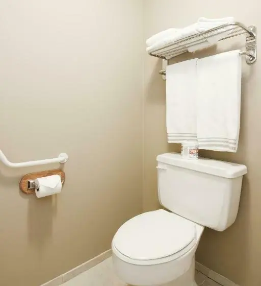 Standard-huone King-vuode, Bow River Inn