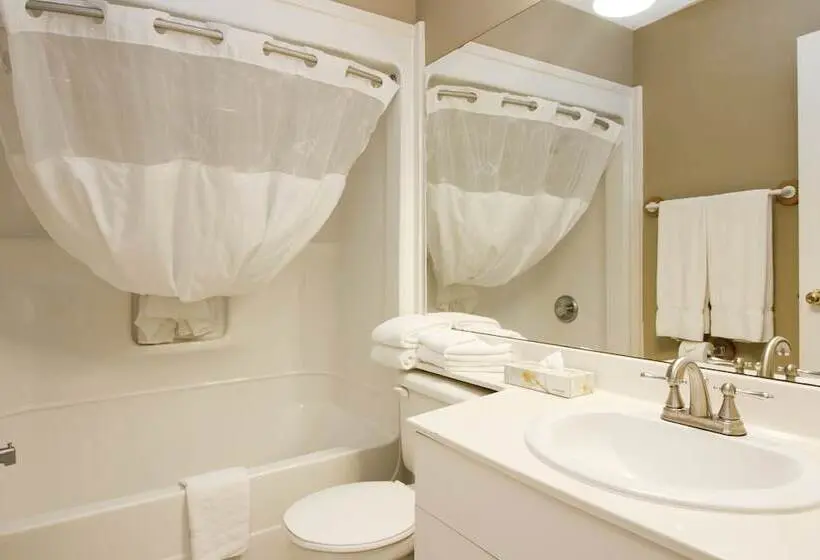 Standard-huone Parivuode, Bow River Inn