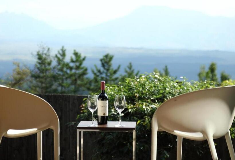 スタンダードルーム, Spagreenness