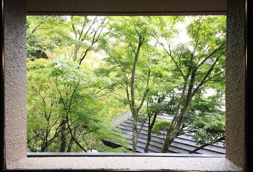 غرفة قياسية, Yutorelo An