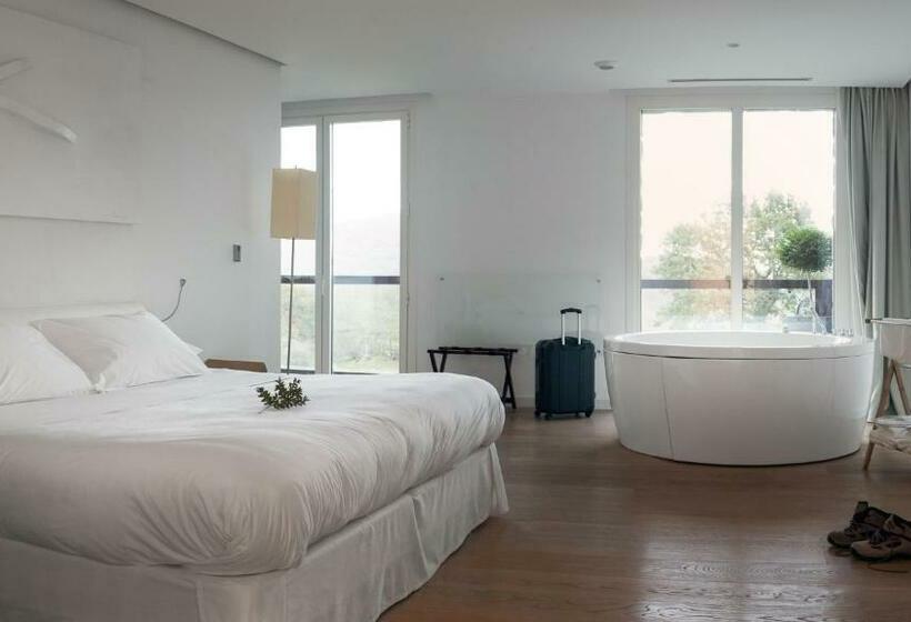 Deluxe Room Mountain View, Arantza Hotela  Adults Only