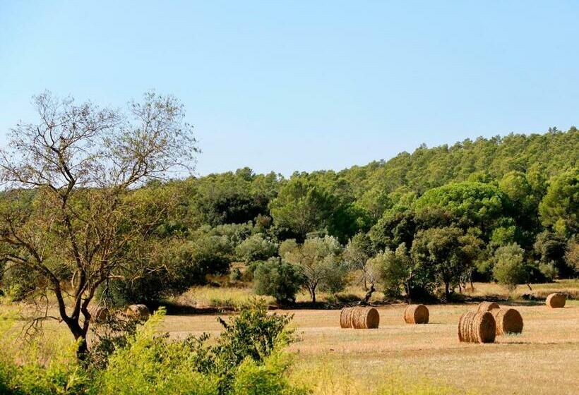 수피리어 룸, Can Barrull Costa Brava Emporda