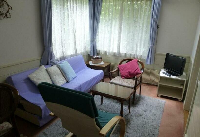 غرفة قياسية ثلاثية, St Village