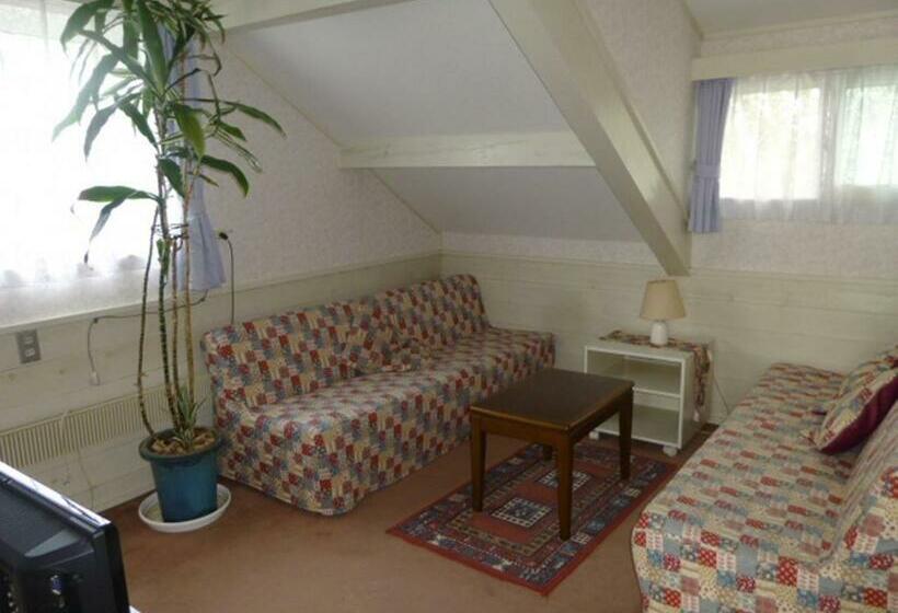 غرفة قياسية ثلاثية, St Village