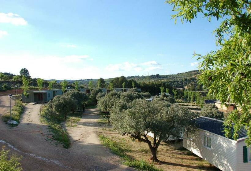 带2个卧室的标准洋房, Camping Terra Alta