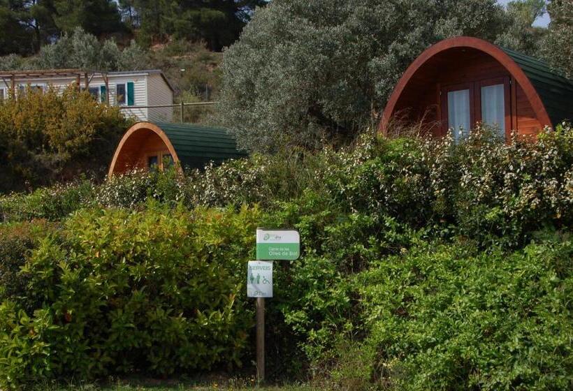 标准平房, Camping Terra Alta