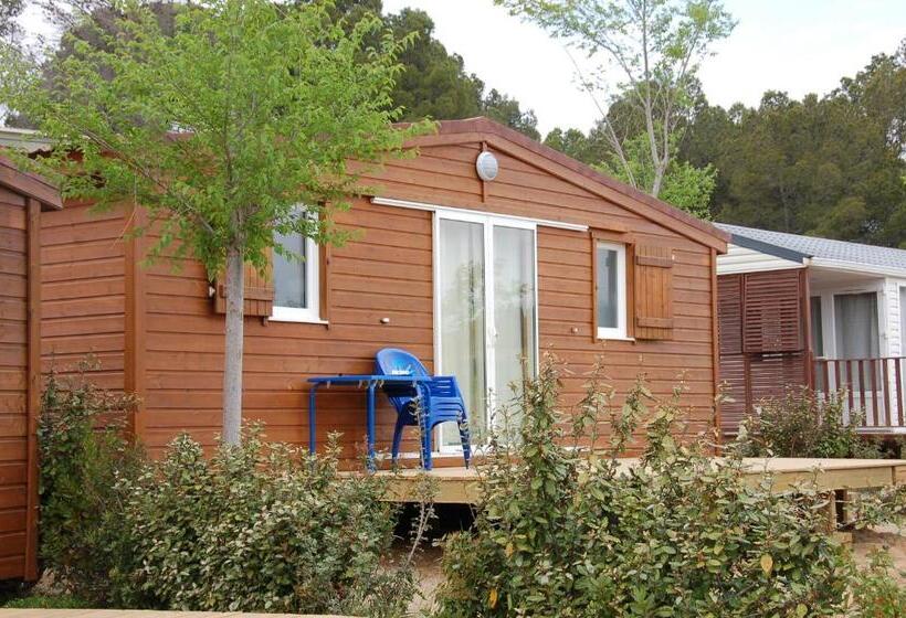 小室, Camping Terra Alta