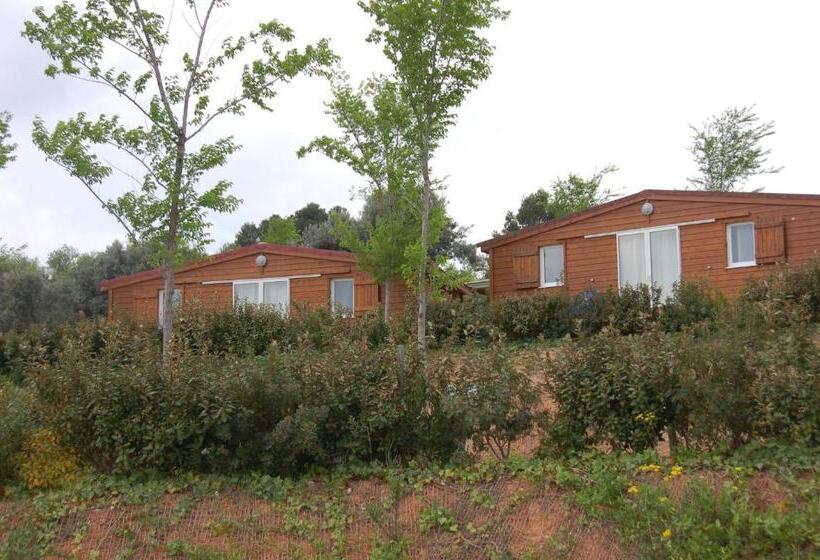 小室, Camping Terra Alta