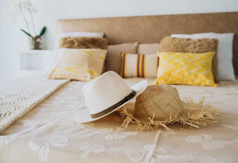 デラックスルーム, Can Solaies