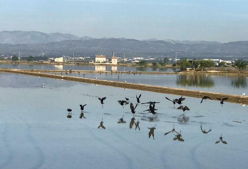 スタンダードルーム, Hostal Cling 43