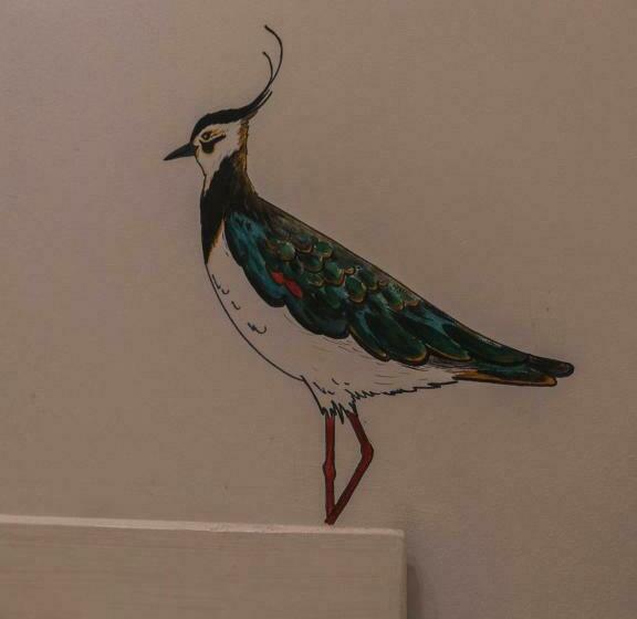 スタンダードシングルルーム, Hostal Cling 43