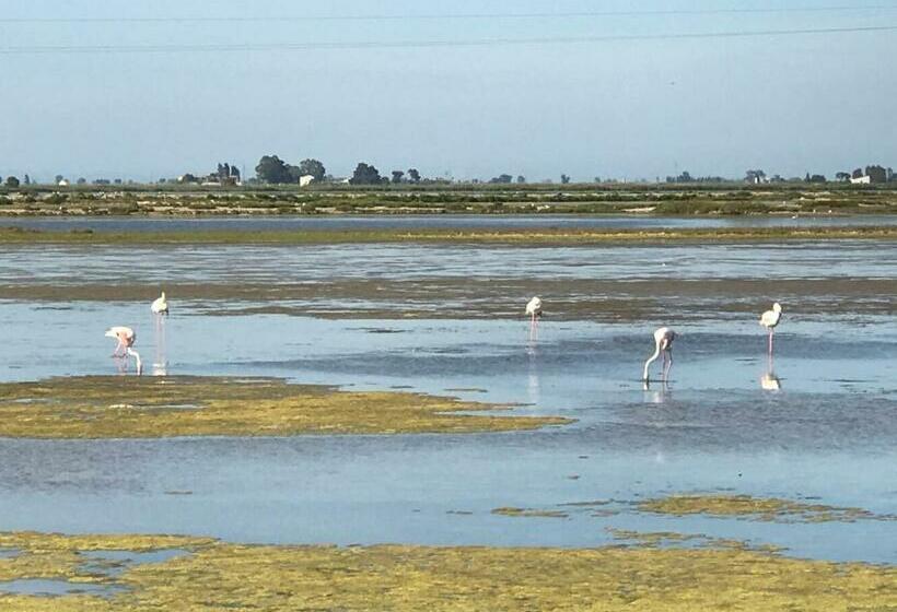 スタンダードルーム, Hostal Cling 43