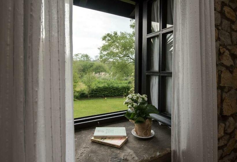 スタンダードルーム, La Joyuca Del Pas