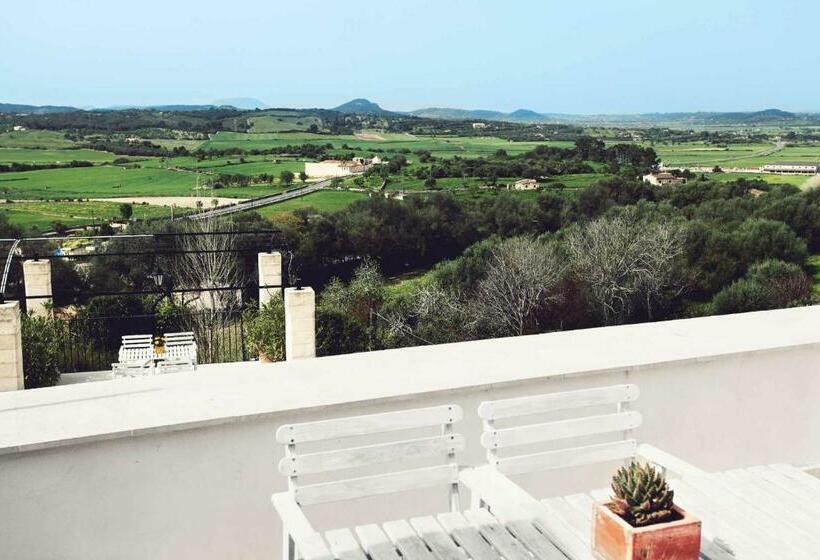 주니어 스위트, Mater Ariany