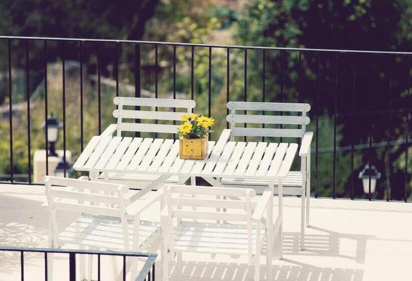 패밀리 스위트, Mater Ariany