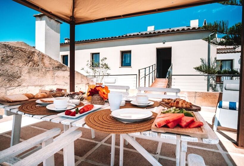 패밀리 스위트, Mater Ariany