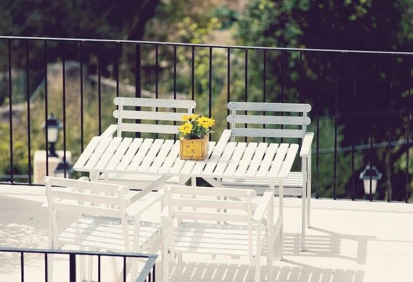 패밀리 스위트, Mater Ariany