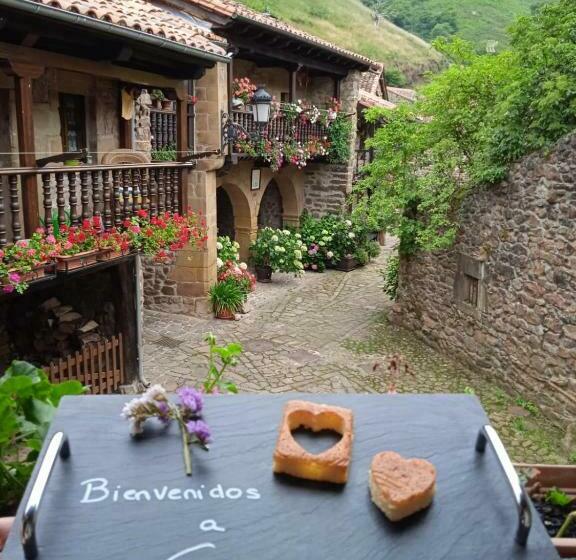 高级大房间, Posada Reserva Verde