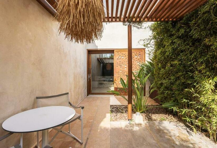 Номер Стандарт, Rural Xereca