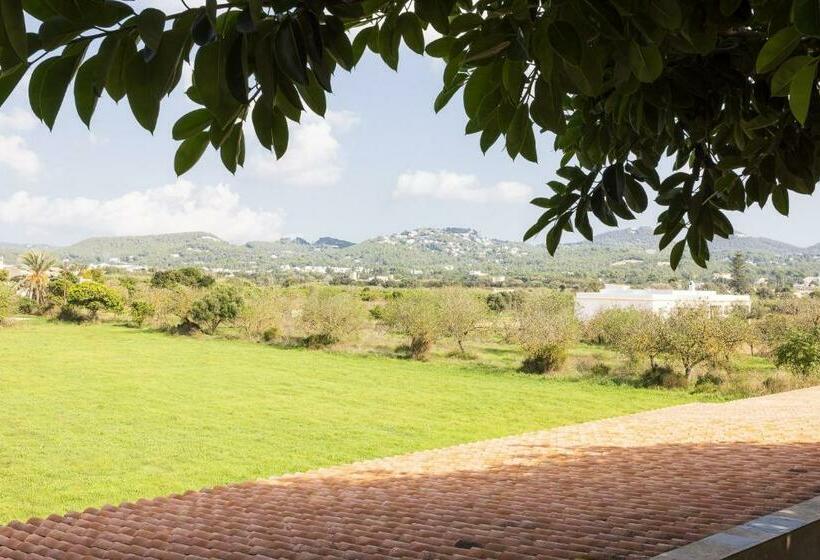 Люкс, Rural Xereca