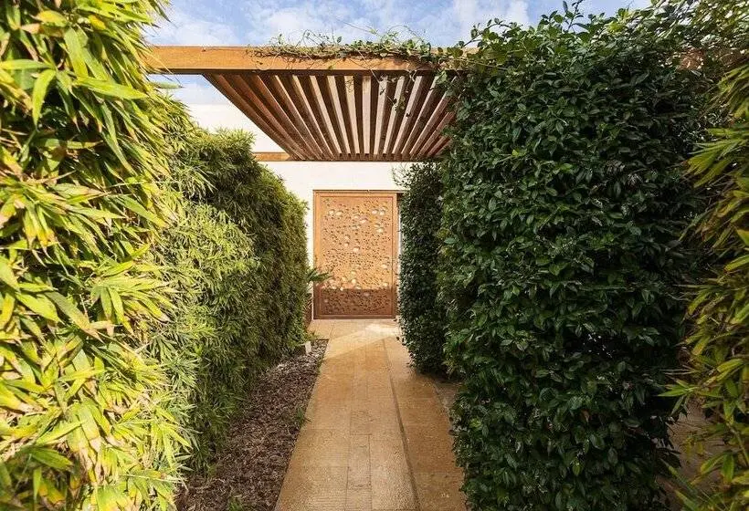 اتاق لوکس, Rural Xereca