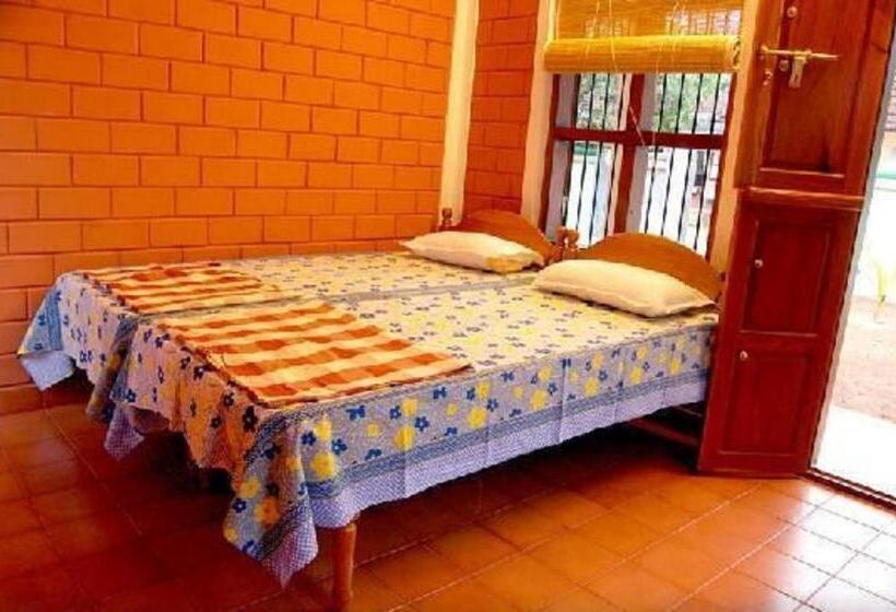 Номер Стандарт, Dazzle Dew