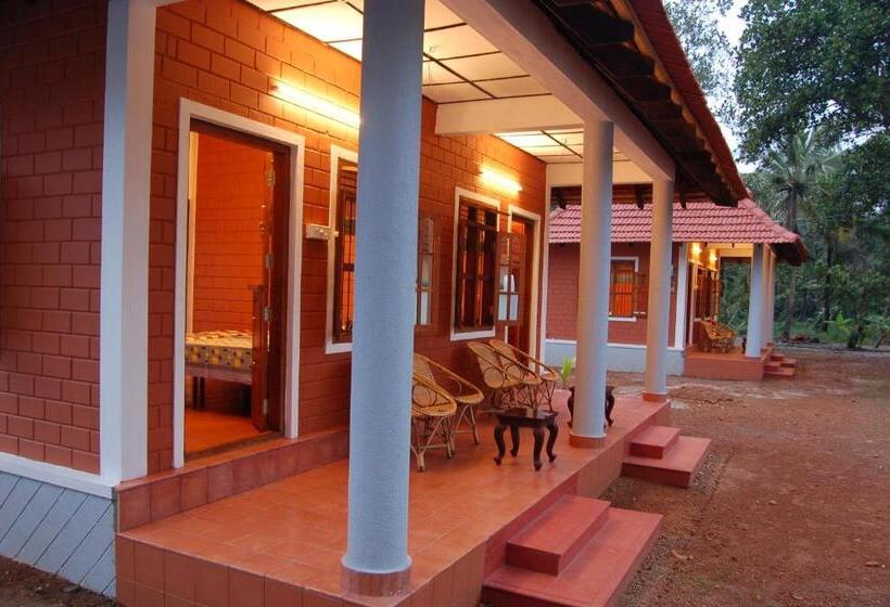 Номер Стандарт, Dazzle Dew