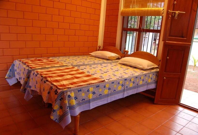 Номер Стандарт, Dazzle Dew